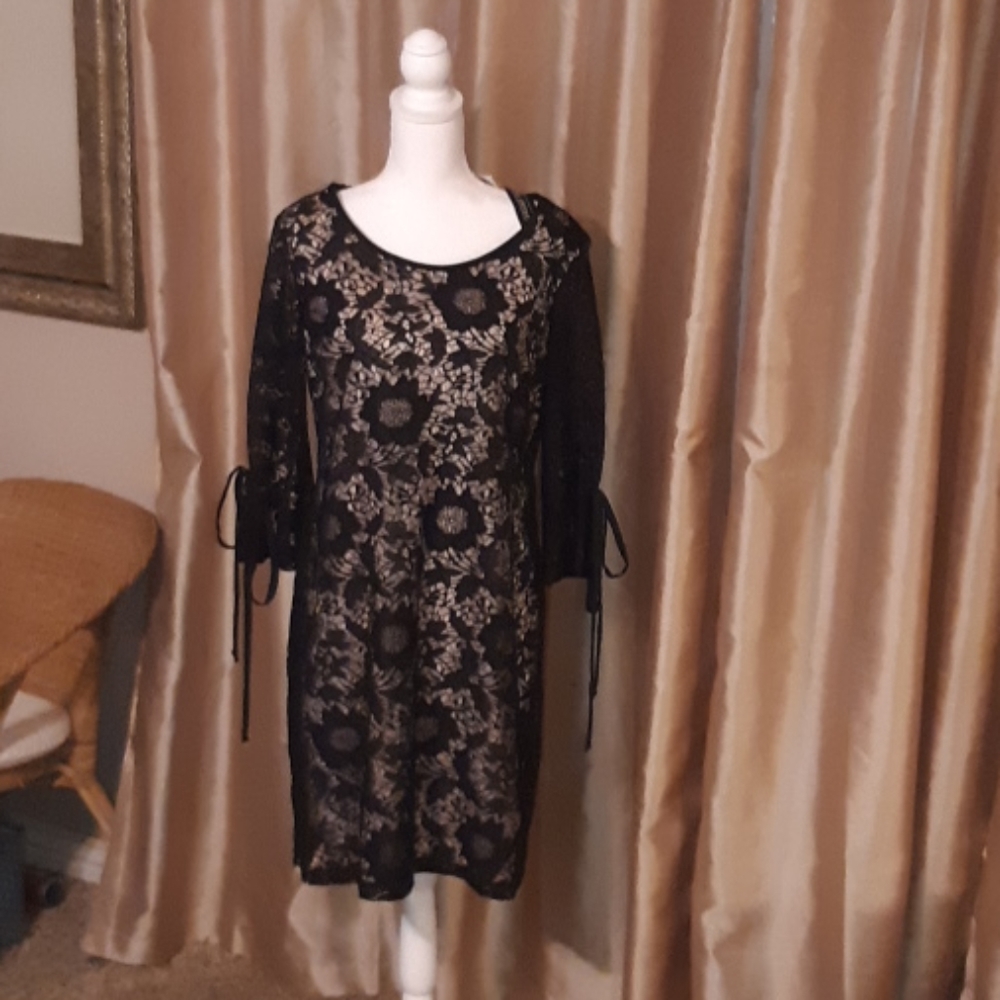 Black Dress with nude lining